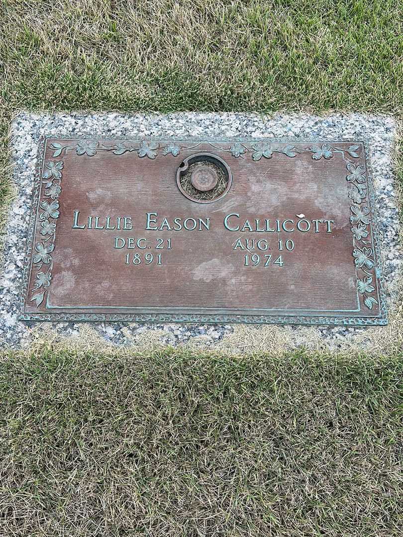 Lillie Eason Callicott's grave. Photo 1