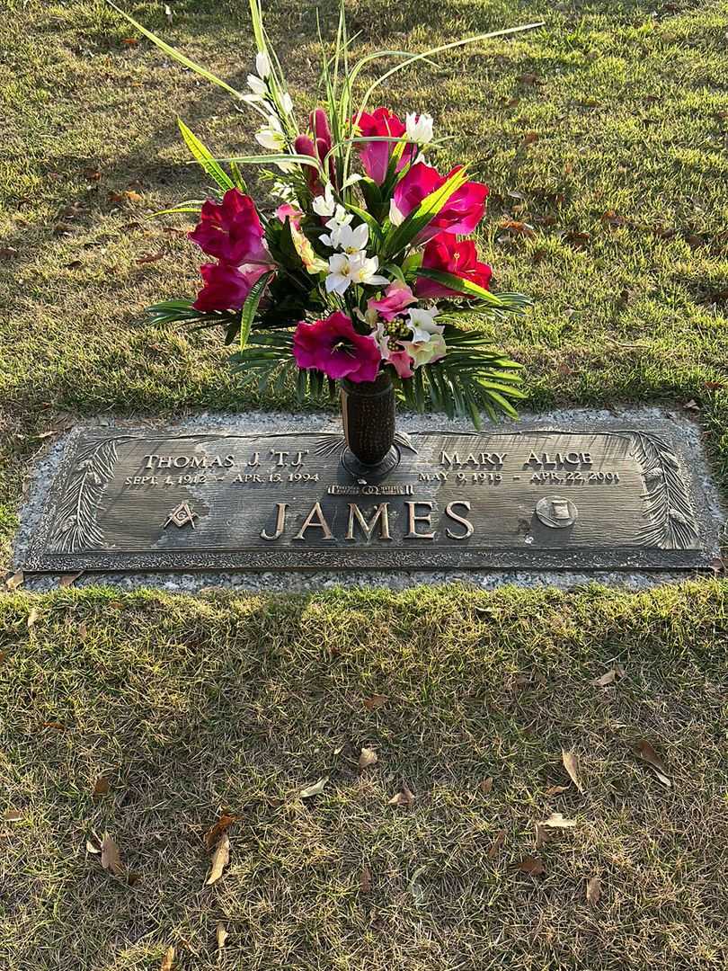 Mary Alice James's grave. Photo 1