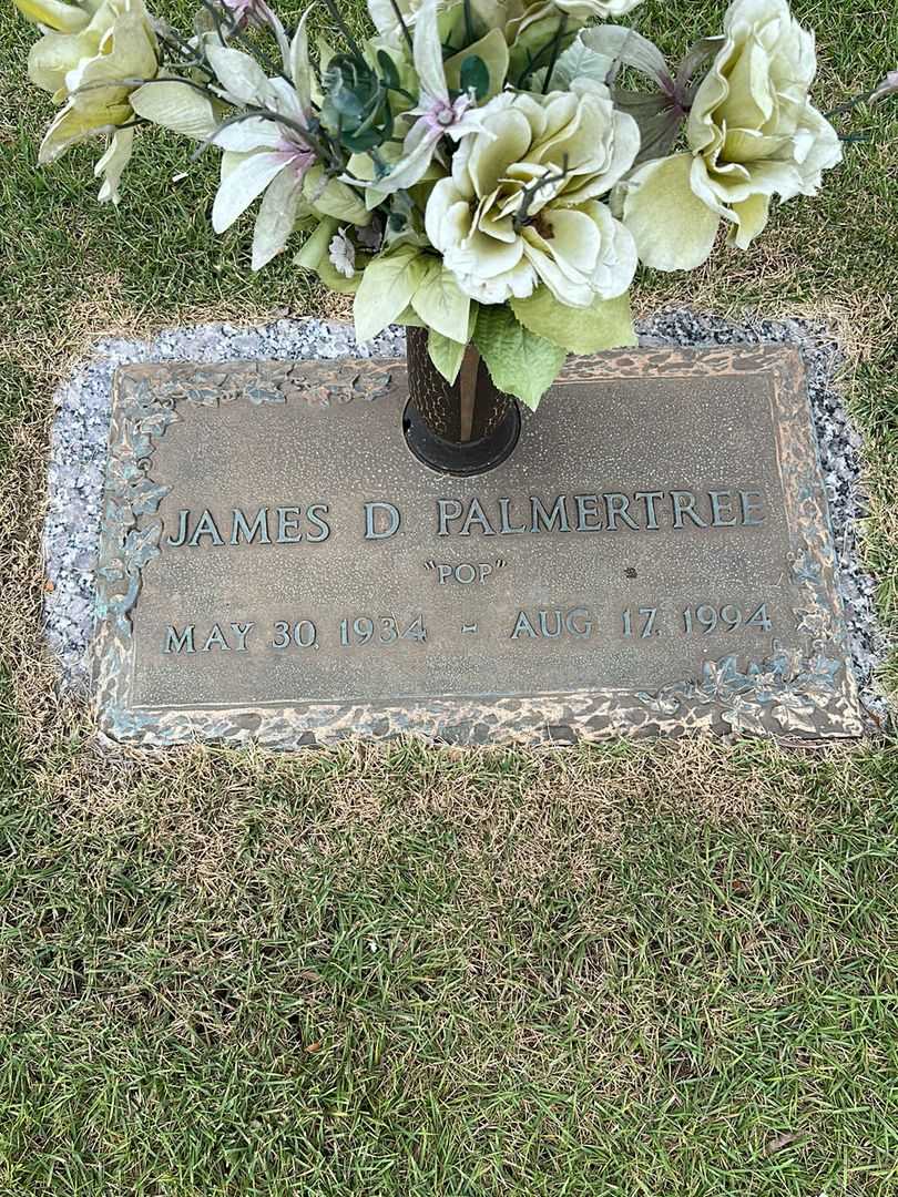 James D. "Pop" Palmertree's grave. Photo 1