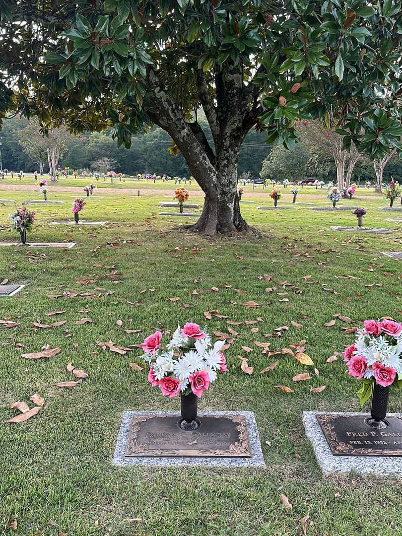 Sandra C. "Sandy" Galloway's grave. Photo 2