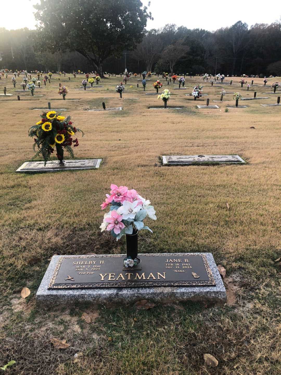 Shelby Harold Yeatman's grave. Photo 1