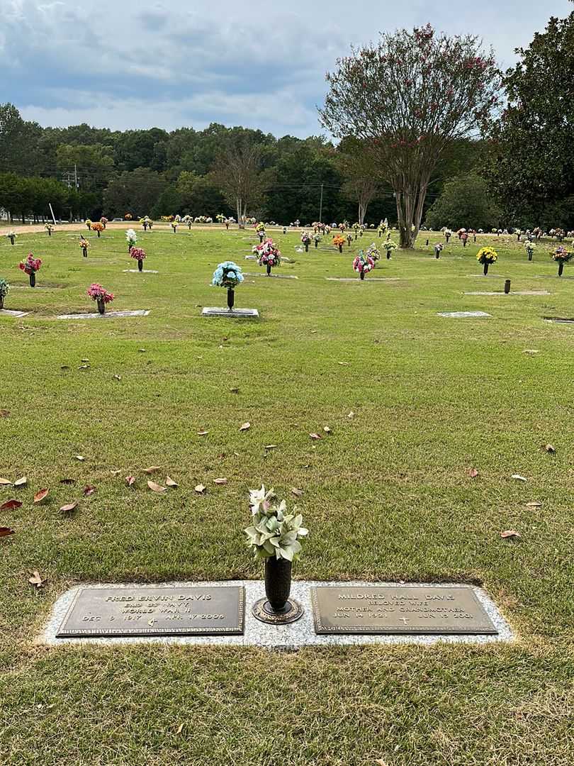 Fred Ervin Davis's grave. Photo 2