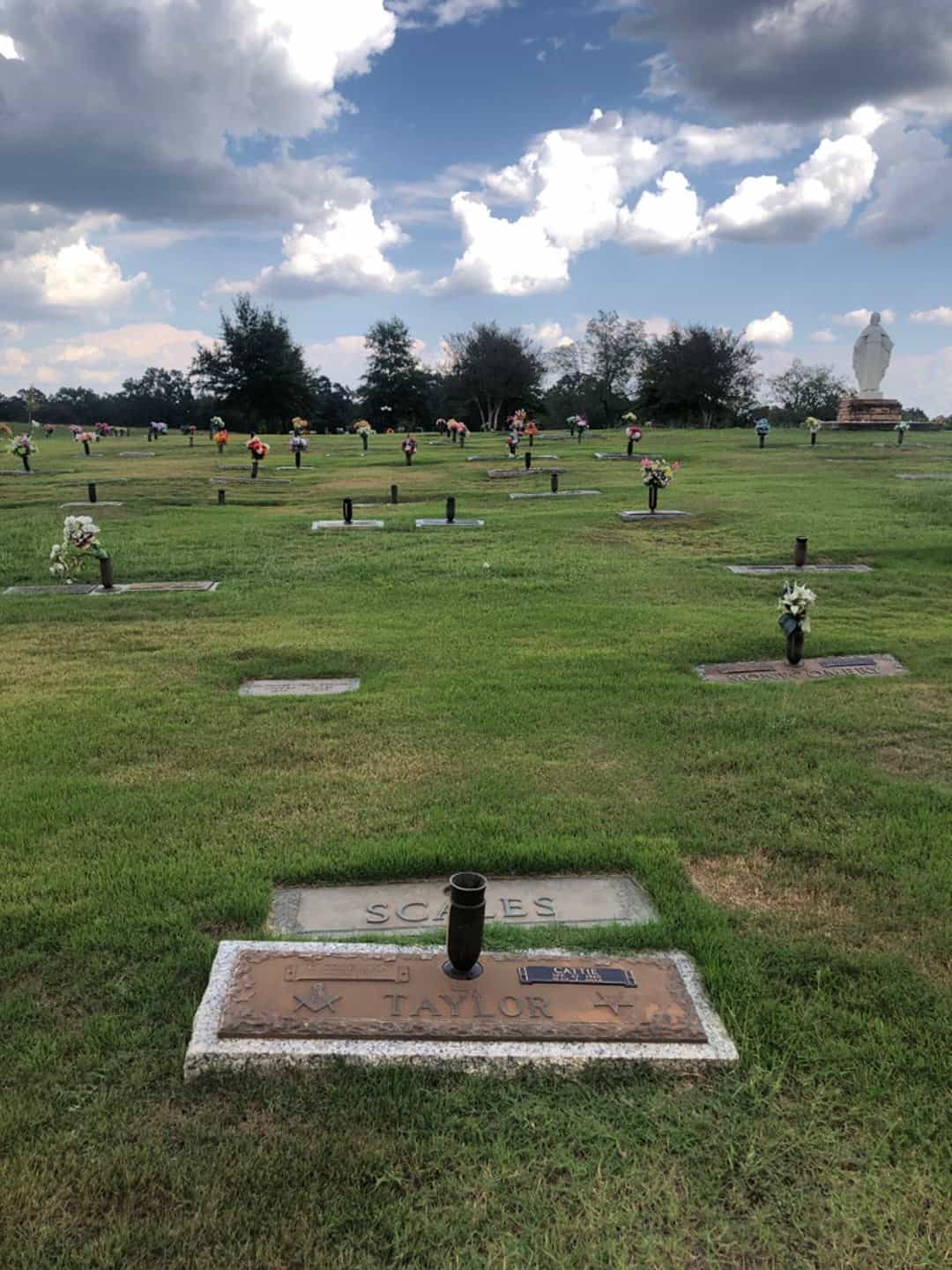 Cattie Coleman Taylor's grave. Photo 3