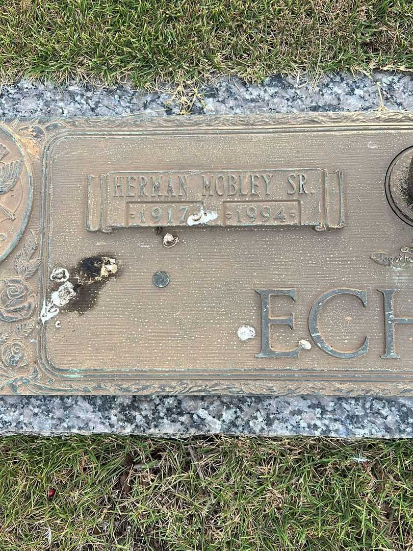 Herman Mobley Echols Senior's grave. Photo 3