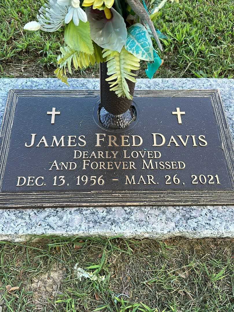 James Fred Davis's grave. Photo 1