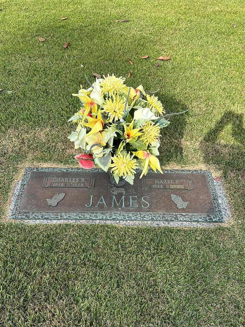 Charles R. James's grave. Photo 1