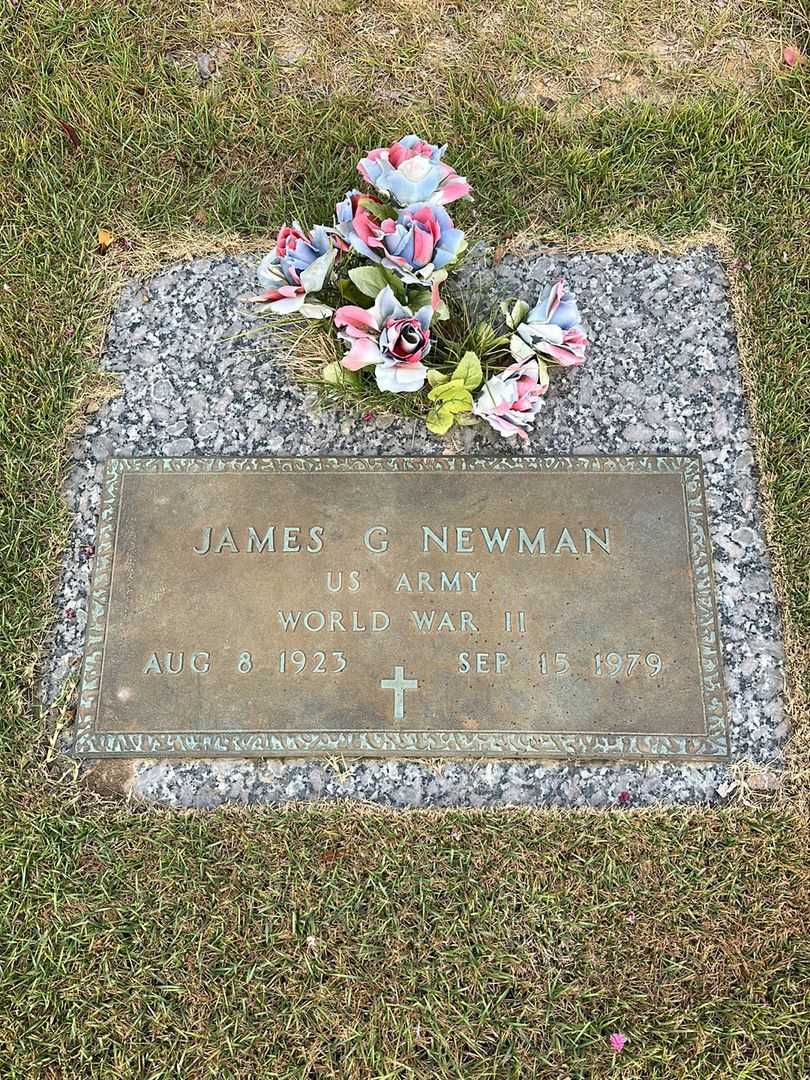 James G. Newman's grave. Photo 1