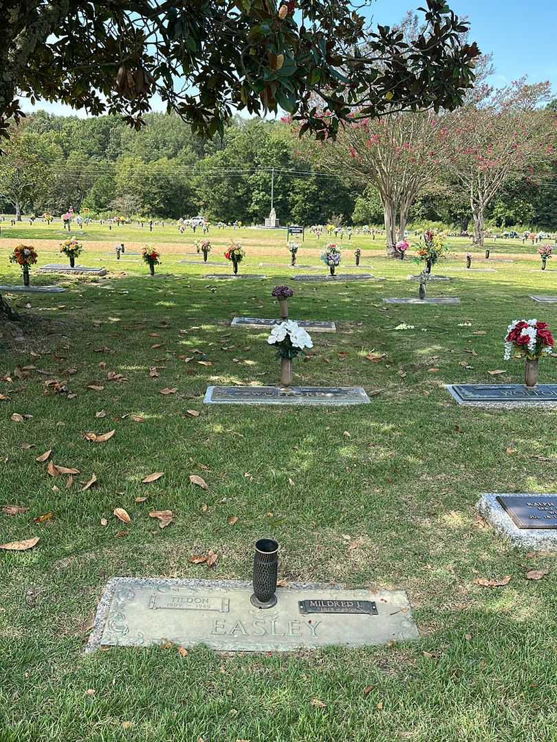 Tildon Easley's grave. Photo 2