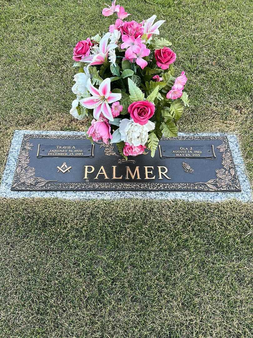 Travis A. Palmer's grave. Photo 1