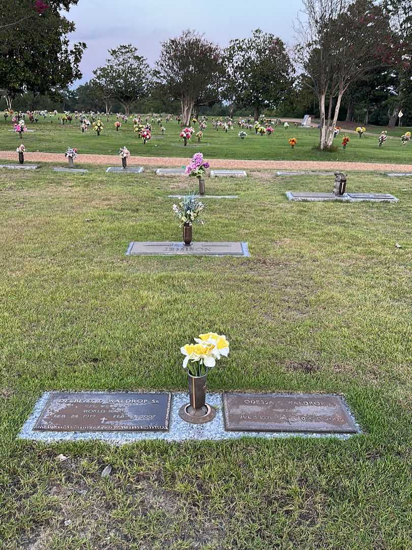 Odessa C. Waldrop's grave. Photo 2