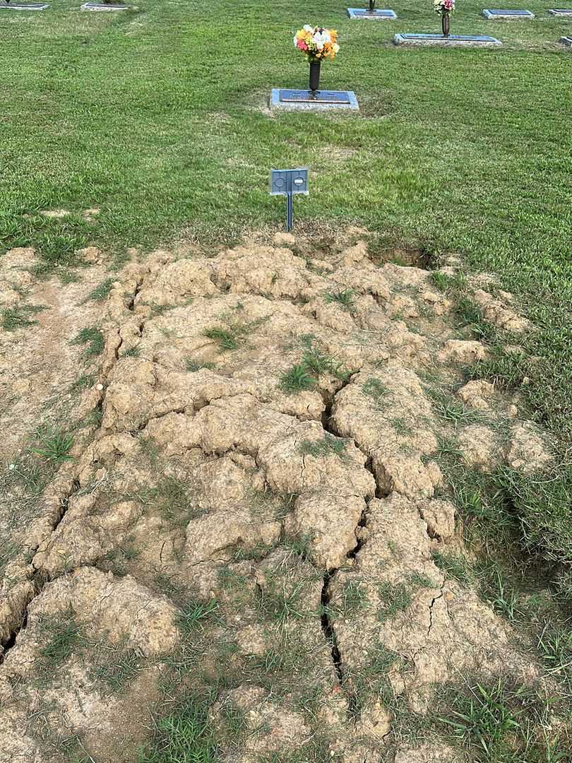 Mister Ollice James Nicholls's grave. Photo 2