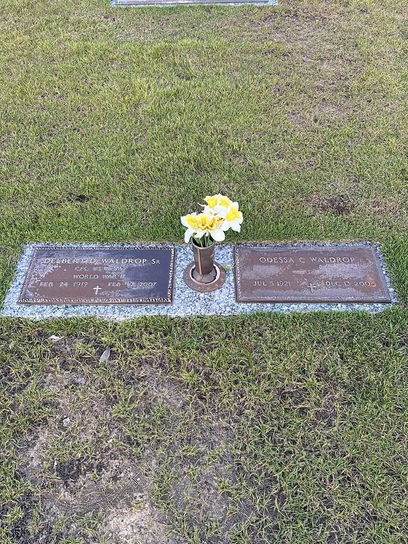 Odessa C. Waldrop's grave. Photo 1