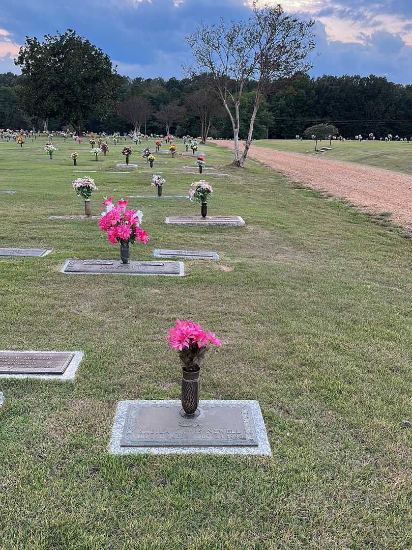 Sheila James Newell's grave. Photo 2