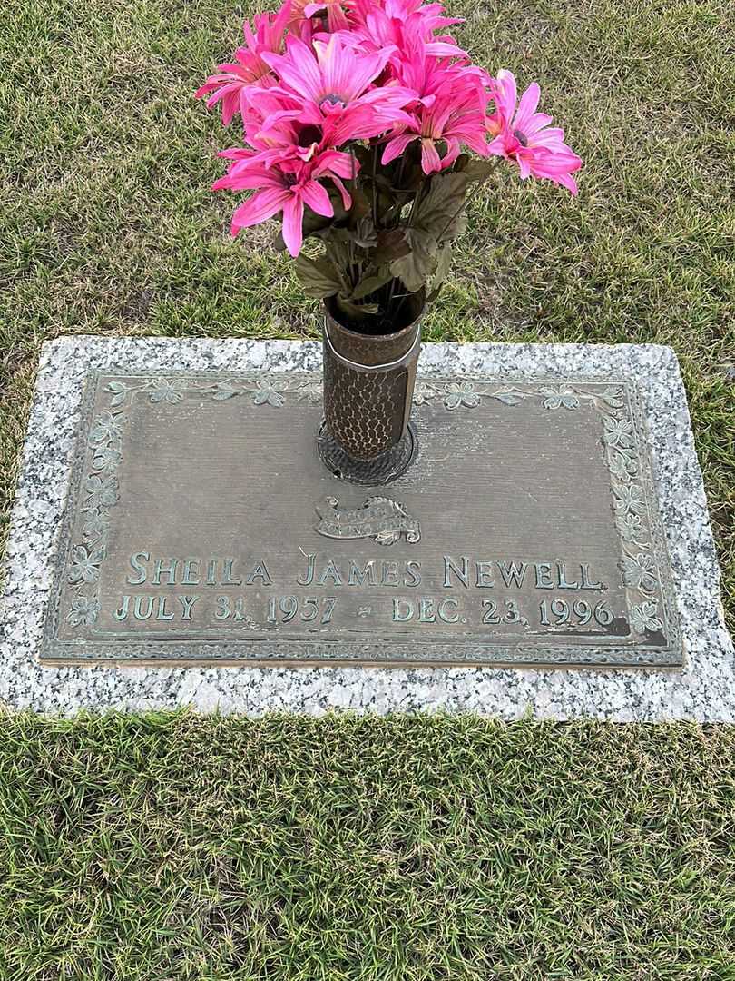 Sheila James Newell's grave. Photo 1