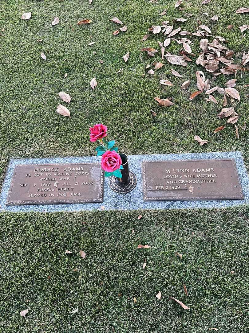 Horace Adams's grave. Photo 1