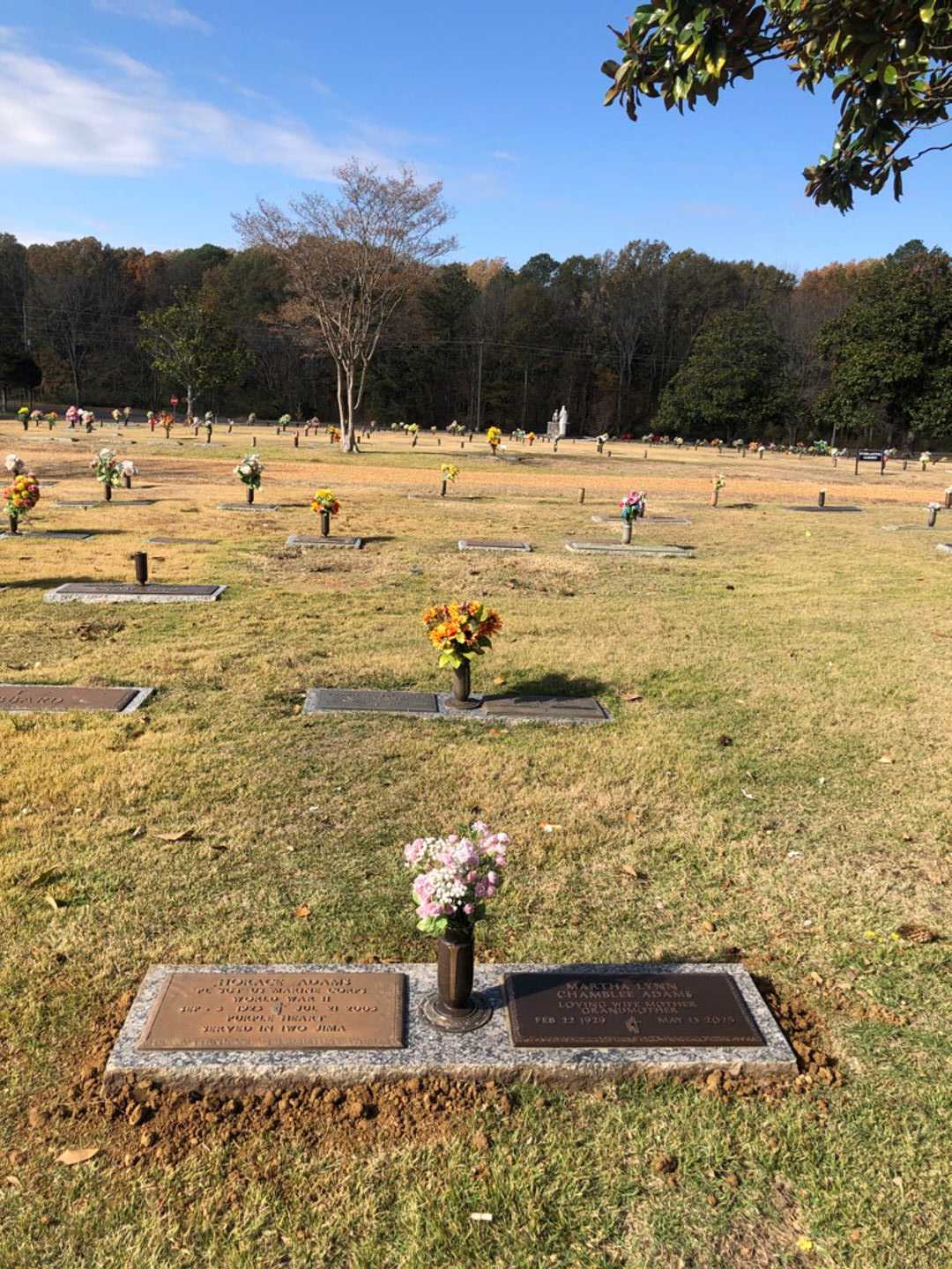 Martha Lynn Adams's grave. Photo 4