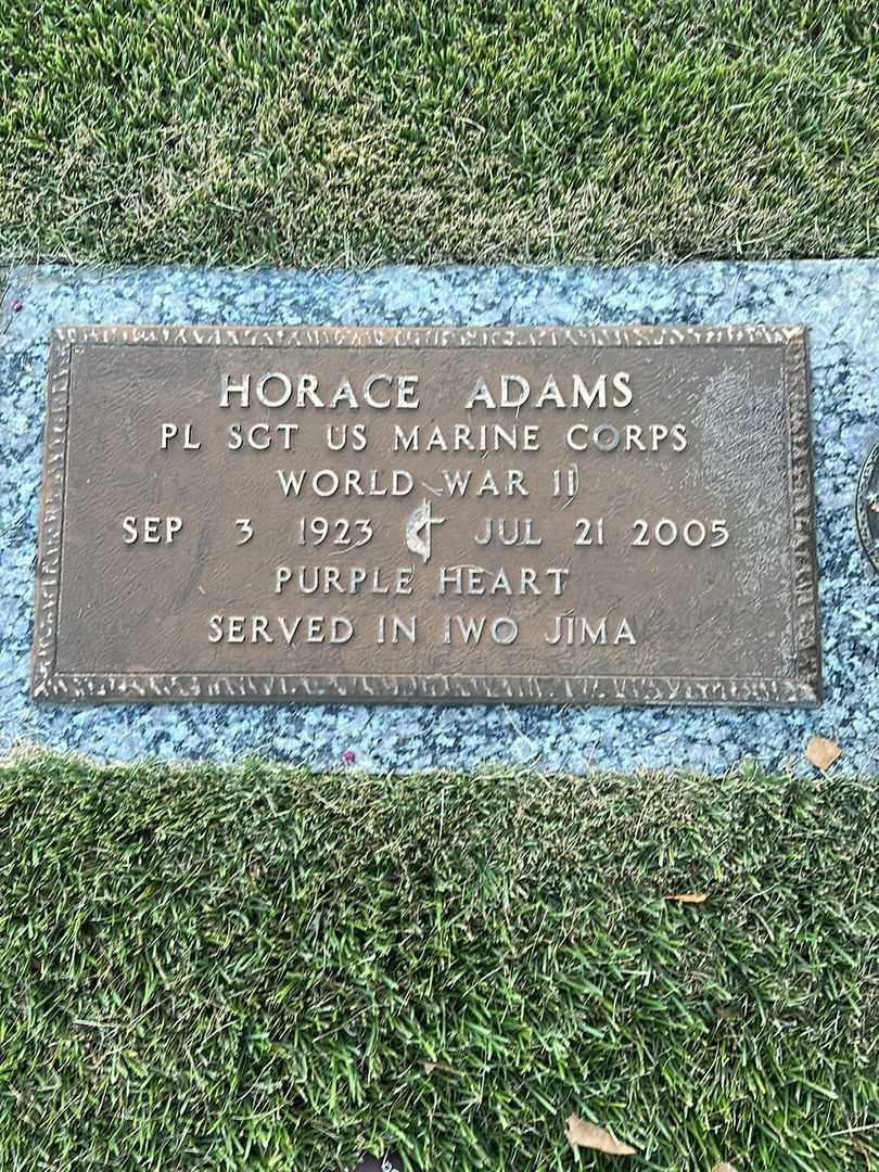 Horace Adams's grave. Photo 3