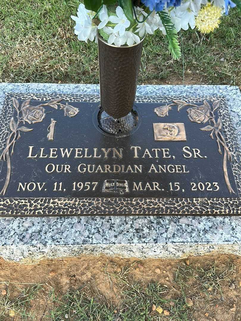 Llewellyn Tate Senior's grave. Photo 1