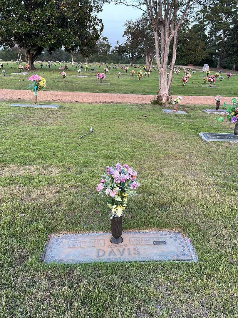 James Alvis Davis's grave. Photo 2