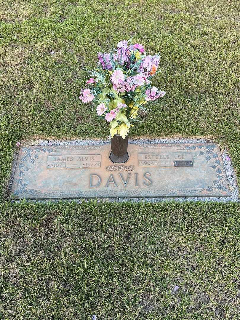 James Alvis Davis's grave. Photo 1