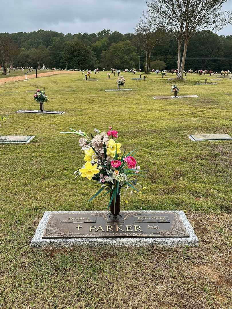O'Farrell Parker's grave. Photo 2