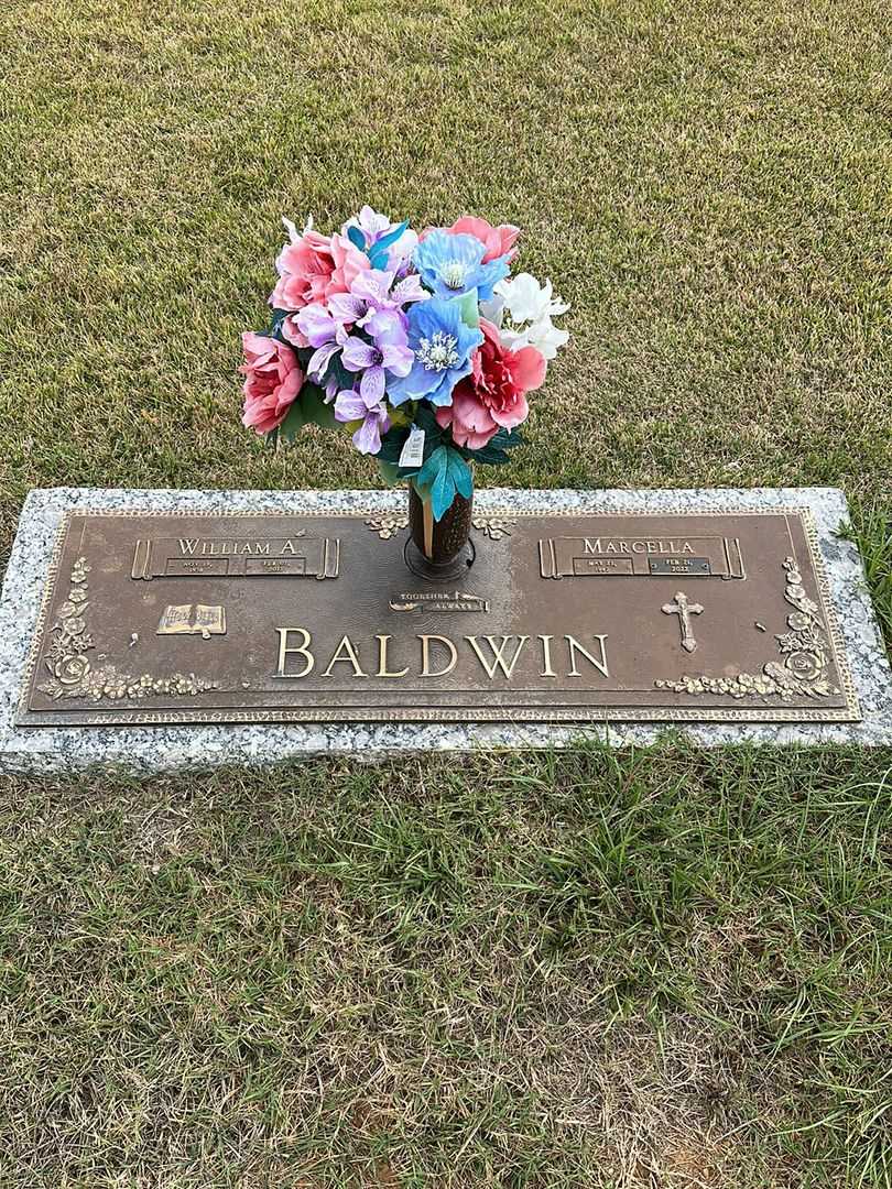 William Albert Baldwin's grave. Photo 1
