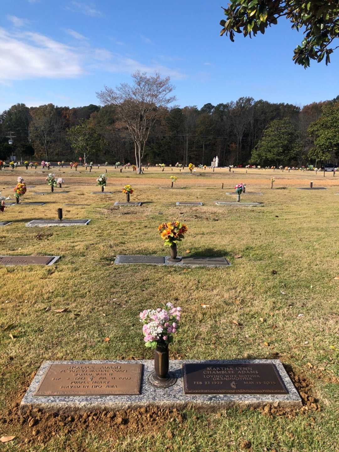 Horace Adams's grave. Photo 3