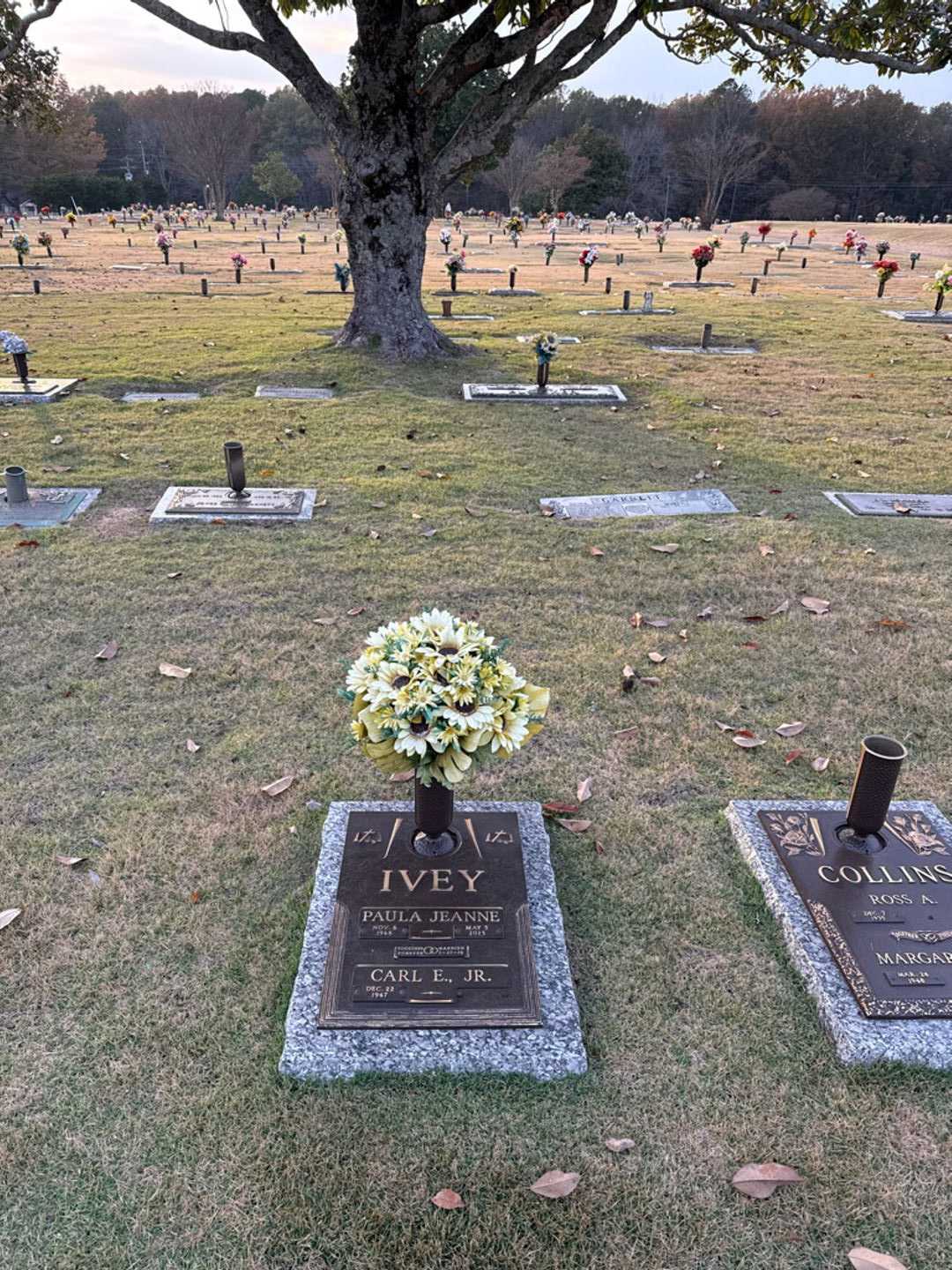 Paula Jeanne Ivey's grave. Photo 1