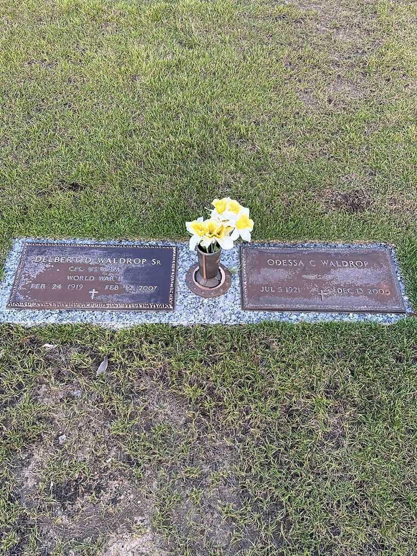 Delbert D. Waldrop Senior's grave. Photo 1