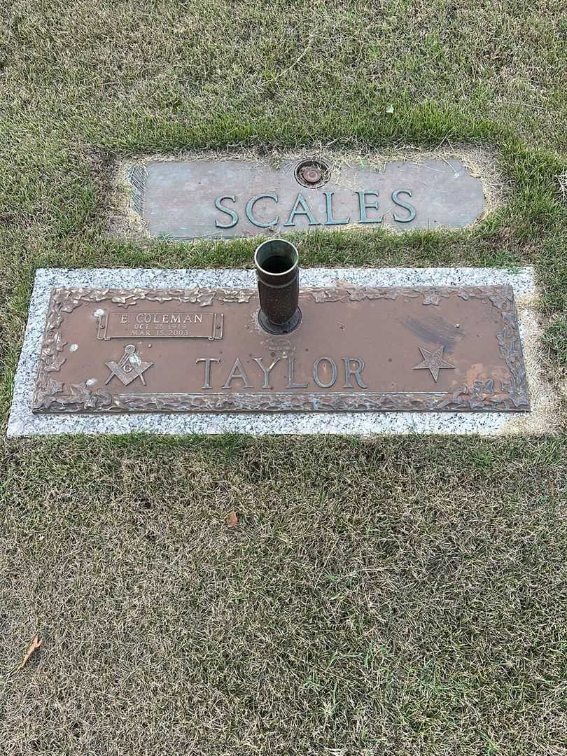 Ernest Coleman Taylor's grave. Photo 1