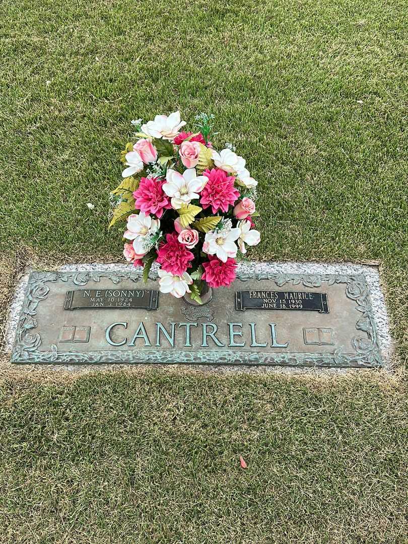 Frances Maurice Cantrell Cotton's grave. Photo 1