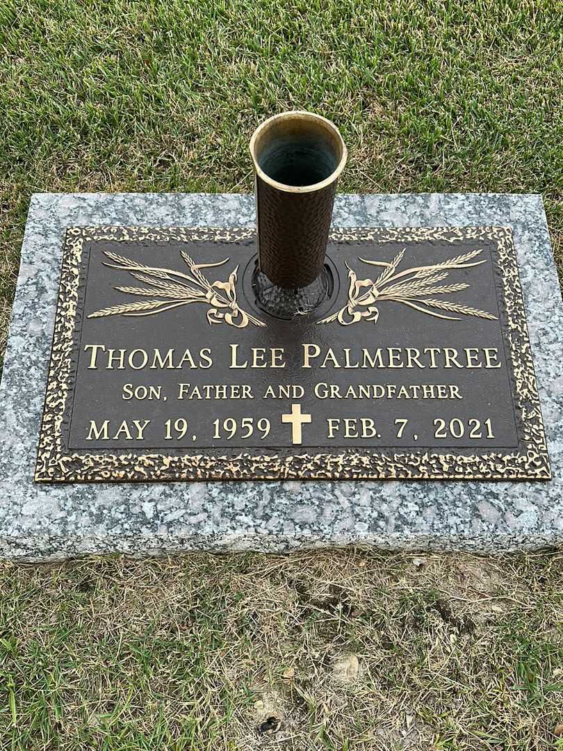 Thomas Lee Palmertree's grave. Photo 1