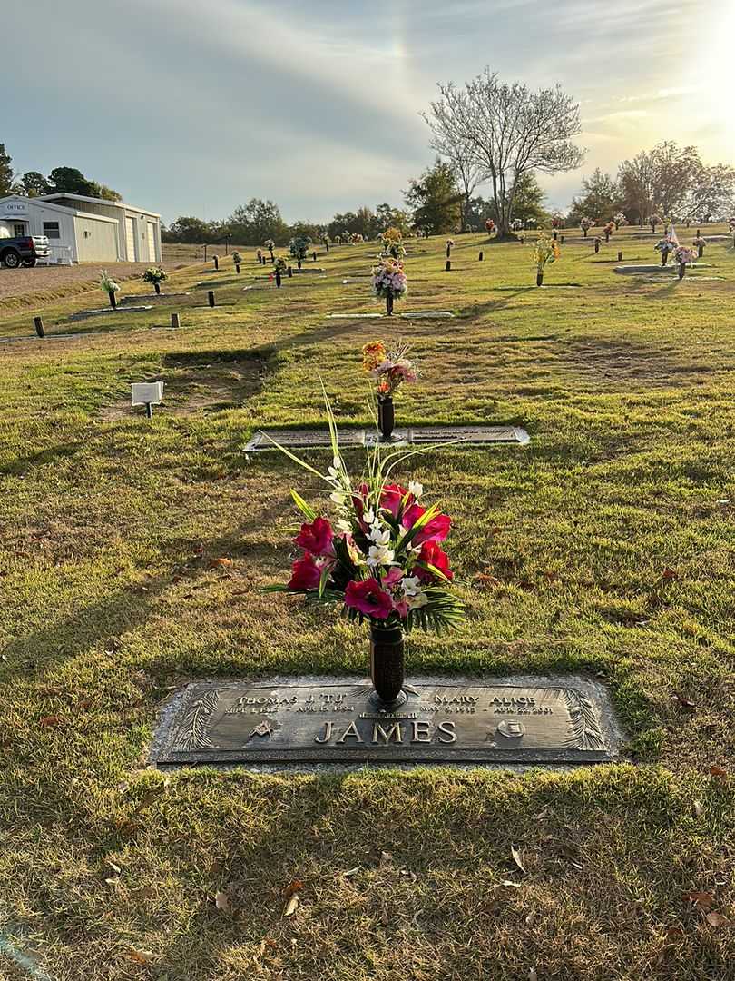 Thomas J. "T. J." James's grave. Photo 2