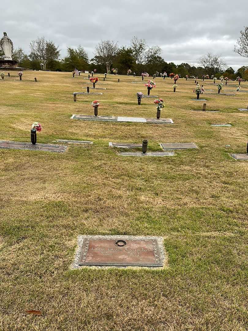 Lillie Eason Callicott's grave. Photo 2
